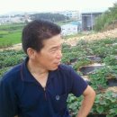 칠호농장 이미지