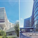 옥마벚길 이미지