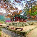 동네미장원 이미지