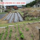 소로3-137 이미지