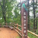 광명사슴농장 | [강좌후기] 나리농장 생태 체험 - 경기 꿈의학교 <업사이클 원예 및 생태체험> 클래스