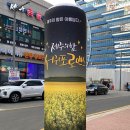 서귀포로맨스영종 네이버블로그