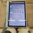 양산 물금 속눈썹펌 속눈썹연장 &lt;하랑뷰티라운지&gt;