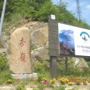 백두대간 10구간: 빼재-백암봉-동엽령(2007.07.07)-100대명산 57번째산행