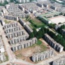 녹색의 추억 이미지