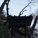 읍내5구 | 꾀꼬리 찾으러 떠나본 꾀꼬리봉... 그리고 만어산 &#39;어산불영&#39;, 영남루...