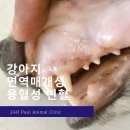 회원종합동물병원 이미지