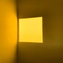 은둔의광장 이미지