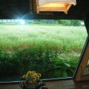 일단정지 이미지