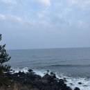 애월브릭하우스 민박 | 제주 애월 바다뷰 숙소추천 브릭하우스 이용후기(가족/커플/친구여행 숙소추천)