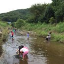 푸른숲유치원 이미지