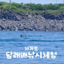 늘푸른낚시 | 제주 돌고래 스팟에서 배낚시까지 즐기는체험 후기