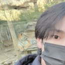세림 이미지