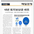 평화당1979 이미지