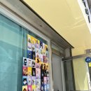 강아지미장원 이미지