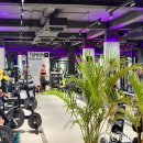 SUIT GYM(수트짐) | ［ 발리 / 짱구 ] 발리 짱구 헬스장 추천 | Top Gym Canggu TRX 클래스 가격·예약·시설 총정리