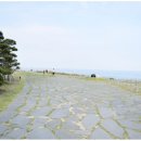 하울팟 부산케어센터 | 부산애견호텔 해운대 부근 강아지유치원 하울팟 부산케어센터