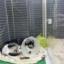 조영메디칼 이미지