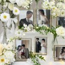 더문(THE MOON) 모텔 | Wedding 42. 본식 아이폰 스냅 추천: 오버더문(Over the Moon)