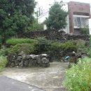 안덕면 통물(감산리) 이미지