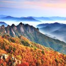 구봉산 이미지