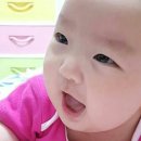 백일수산 이미지
