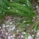 북문놀이터 이미지