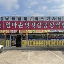 엄마손 맛젓갈