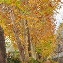 세화여자중학교 이미지