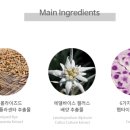 디엠티바이오 이미지