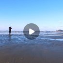 곰섬파라다이스2 이미지