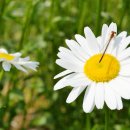 강변체육공원 이미지