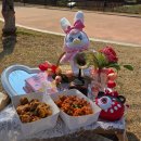 두맛집 | 수원 통닭 맛집 대봉통닭 양념닭강정 매콤닭강정 포장해서 용연 피크닉