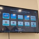 창원아기영어 브레인나우 스튜디오 우뇌교육 4개월차 후기