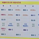 씨엘로댄스핏
