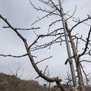 명선농장 이미지