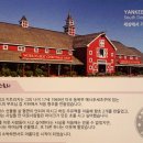 양키캔들 군산점 이미지