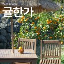 카페귤한가 | 제주 겨울여행 감성 귤 체험 카페 귤한가 직접 경험해 본 후기