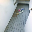 라이프 아파트 | 완벽한 새출발을 위한 꿀청소 라이프: 수원아파트청소 리얼 후기