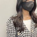 아르브헤어 arvv 이미지