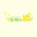 KCC 스위첸 | 장기동 KCC스위첸 도배 후기 — 결혼하는 아들 부부를 위한 엄마의 마음