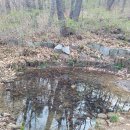 동우약수터 이미지