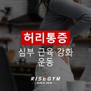 오포읍 매산리 817-5 | 문형리 도평리 매산리 헬스 PT : 허리통증완화를 위한 심부근육강화 운동!