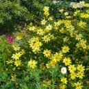 솔바다이야기 이미지