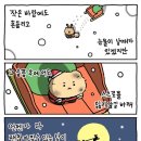 도쿄파파 네이버블로그