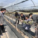 경주시농업기술센터 이미지