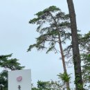 해인짬뽕 이미지