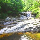 달빛아래 이미지