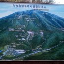 덕산면016 Daum카페