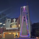 몸, 이 잔은 나의 피 | 성탄대축일 | 천주교 4대 의무 대축일 | 청년성탄만찬 | 세례 후 첫 성야미사 후기